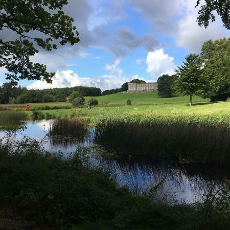 Curraghchase Cottage Kilcornan Buitenkant foto
