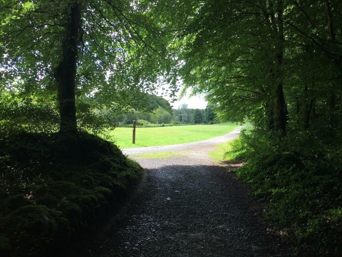 Curraghchase Cottage Kilcornan Buitenkant foto